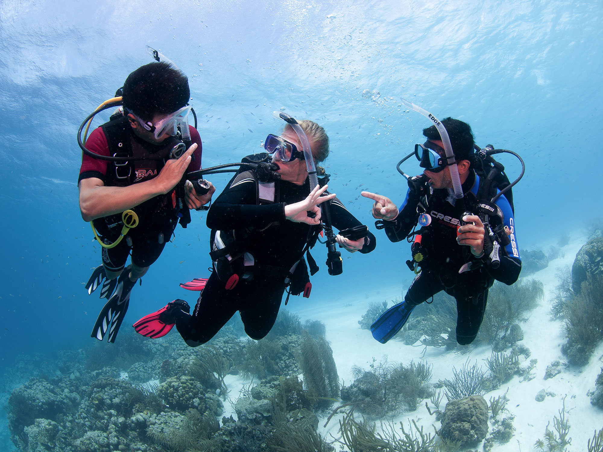 h2o dive fun guided dives